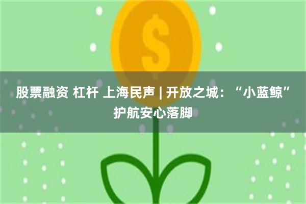 股票融资 杠杆 上海民声 | 开放之城：“小蓝鲸”护航安心落脚
