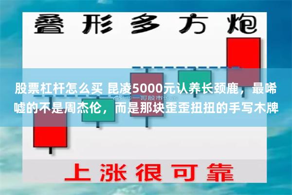 股票杠杆怎么买 昆凌5000元认养长颈鹿,最唏嘘的不是周杰伦,而是那块歪歪扭扭的手写木牌
